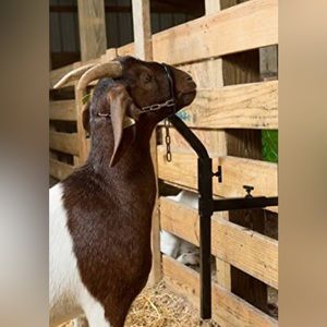 Weaver Livestock Steel Attachment Nose Loop Headpiece